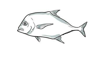 africain pompano poisson de Floride dessin animé dessin vecteur