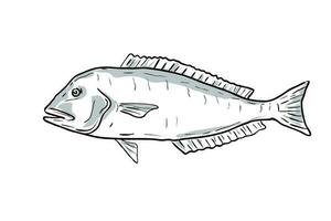Ligne bleue poisson-tuile poisson golfe de Mexique dessin animé dessin vecteur