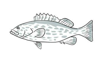 albacore groupeur poisson golfe de Mexique dessin animé dessin vecteur