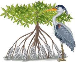 grand héron bleu avec mangrove en style cartoon sur fond blanc vecteur