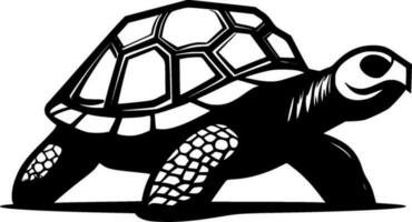 tortue, noir et blanc vecteur illustration