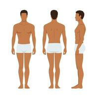 vecteur illustration de Trois Hommes dans sous-vêtements sur le blanc Contexte. plat Jeune homme. de face vue homme, côté vue homme, retour côté vue homme