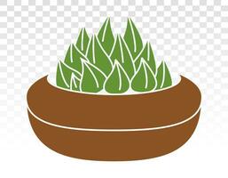 haworthia tonnelier décoratif plante plat Couleur icône pour applications et sites Internet vecteur