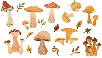 ensemble de différent champignons avec baies et feuilles de des arbres. vecteur plat illustration dans main tiré style