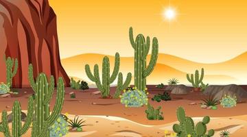paysage de forêt désertique au coucher du soleil scène avec de nombreux cactus vecteur