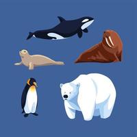 ensemble d'animaux de l'Arctique sur fond bleu vecteur