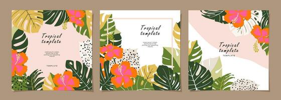 tropical modèle ensemble pour affiche, carte, couverture, étiqueter, bannière dans moderne minimaliste style et Facile été conception modèles avec tropical feuilles, fleur, et les plantes. vecteur