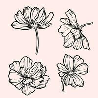 noir et blanc avec ligne art esquisser floral botanique cosmos fleur dessins vecteur