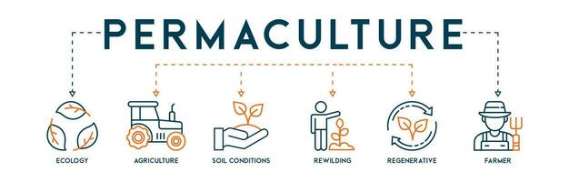 permaculture concept modifiable bannière la toile illustration pour les écosystèmes et terre la gestion avec écologie, agriculture, sol conditions, réensauvagement, régénérateur, et agriculteur Icônes vecteur