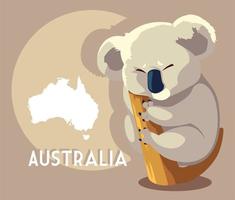 Koala mignon avec carte de l'Australie en arrière-plan vecteur