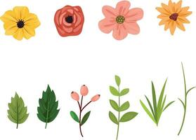 collection de sauvage fleurs vecteur. herbes, herbacé floraison végétaux, épanouissement fleurs, sous arbustes isolé sur blanc Contexte vecteur