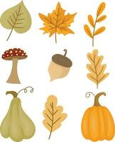 ensemble de l'automne éléments avec sec érable feuilles, pommes de pin, champignons et citrouilles vecteur