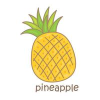 alphabet p pour ananas vocabulaire école leçon dessin animé illustration vecteur clipart autocollant