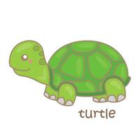 alphabet t pour tortue vocabulaire école leçon dessin animé illustration vecteur clipart autocollant