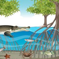 scène de forêt de mangrove pendant la journée avec des animaux dans l'eau vecteur