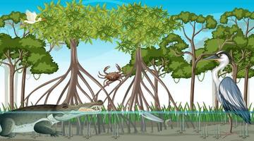 scène de forêt de mangrove avec différents animaux vecteur