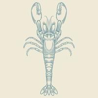 dessinés à la main de homard vintage isolé sur fond blanc de couleur bleue. vecteur