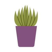 haworthie, petit succulent, dessin animé style. maison les plantes pour Accueil intérieur, Urbain jungle. branché moderne vecteur illustration isolé sur blanc, main dessiné, plat