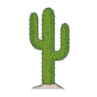 plante sèche de cactus