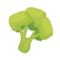 légume brocoli frais vecteur