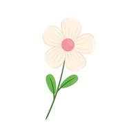 icône de saison de printemps beauté fleur blanche et rose et feuilles vecteur