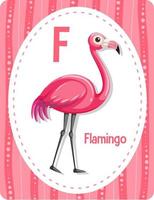 flashcard alphabet avec lettre pour flamant rose vecteur