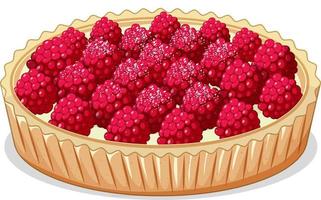 Vue rapprochée de la tarte aux framboises isolé sur fond blanc vecteur