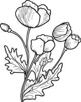 août naissance fleurs, Facile coquelicot ligne dessin coquelicot art Stock contour ligne dessin, coquelicot dessin, crayon dessin imprimable mur art, août naissance fleurs imprimer, Célibataire coquelicot fleur dessin vecteur