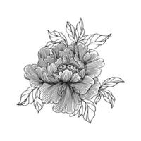 pivoine fleur, stylisation. contour dessin, esquisser pour coloration. vecteur