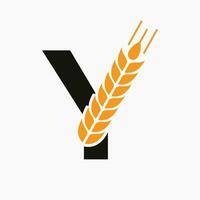 lettre y blé logo pour agriculture symbole vecteur modèle