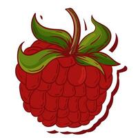 Frais Célibataire framboise fruit vecteur illustration