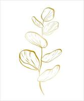 botanique d'or illustration de une eucalyptus branche pour mariage invitation et cartes, logo conception, la toile, social médias et affiches modèle. élégant minimal style floral vecteur isolé.