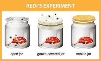 diagramme d'expérience de redi pour l'éducation vecteur