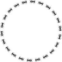 fourmi silhouettes Piste illustration dans forme de cercle vecteur