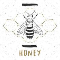 étiquette vintage, abeille dessinée à la main, insigne texturé grunge, modèle de logo rétro, illustration vectorielle de typographie design vecteur