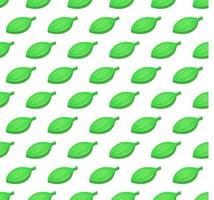 Feuilles à rayures vertes modèle vectoriel de couleur transparente