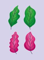 icônes de quatre feuilles vecteur