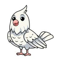 mignonne albinos calopsitte oiseau dessin animé vecteur