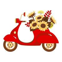 une brillant rouge scooter avec un brassée de tournesols. vecteur. illustré clipart. vecteur