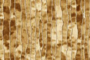 sans couture attacher colorant branché interminable ornement botanique illustration textile jardin mode ogee été vecteur coloré magnifique dessin interminable ornemental l'ethnie Bande , marron beige bois