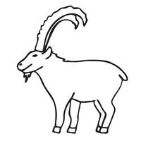 une Montagne chèvre avec gros cornes. une RAM, un animal. mouflons. vecteur illustration. griffonnage style. isolé sur une blanc Contexte.