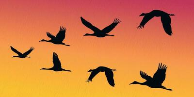 troupeau de en volant grues, héron, aigrette, cigogne, flamant dans une ensemble de vecteur silhouettes