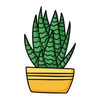 mignonne vert dessin animé haworthia succulent dans Jaune pot. isolé vecteur illustration sur blanc Contexte