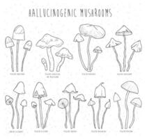 ensemble hallucinogène champignons. collection isolé éléments vecteur main tiré illustration.