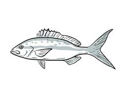 queue jaune vivaneau poisson golfe de Mexique dessin animé dessin vecteur