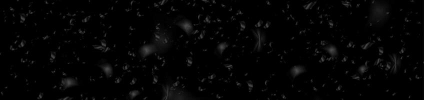 noir monochrome confettis abstrait bannière conception vecteur