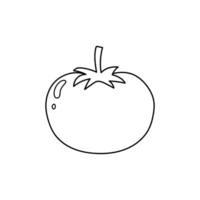 main tiré des gamins dessin dessin animé vecteur illustration tomate icône isolé sur blanc Contexte