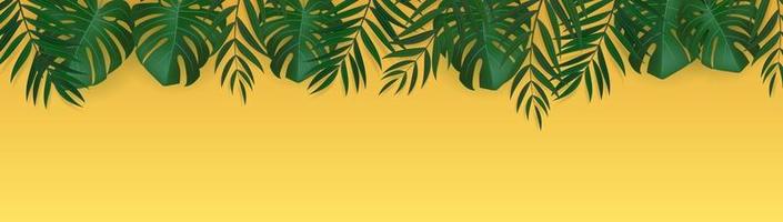 fond tropical de feuille de palmier vert réaliste naturel. illustration vectorielle eps10 vecteur
