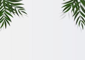 abstrait tropical de feuille de palmier vert réaliste. illustration vectorielle eps10 vecteur