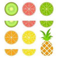 ensemble de fruits apetitic isolés colorés sur fond blanc. nourriture tropicale juteuse, lumineuse et délicieuse. illustration vectorielle plane simple. kiwi, pamplemousse, citron vert, orange, citron, ananas vecteur